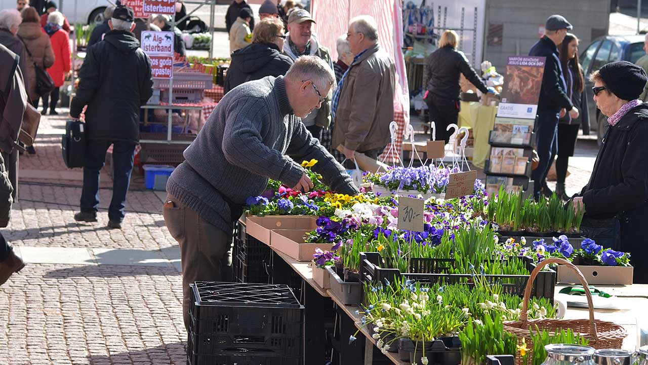 På en torgtur med Boxholm II finns det tid för ett besök på fredagens torghandel i Tranås. Eller någon annan shopping i alla butiker längs Storgatan. 