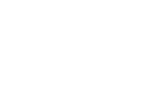 SS-BOXHOLM-II-FULL-NEG-500px